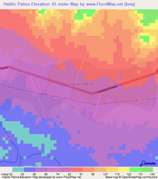 Hatillo Palma,Dominican Republic Elevation Map