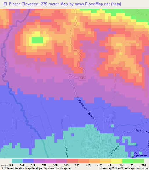 El Placer,Dominican Republic Elevation Map