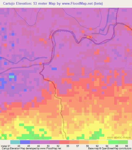 Cartujo,Dominican Republic Elevation Map