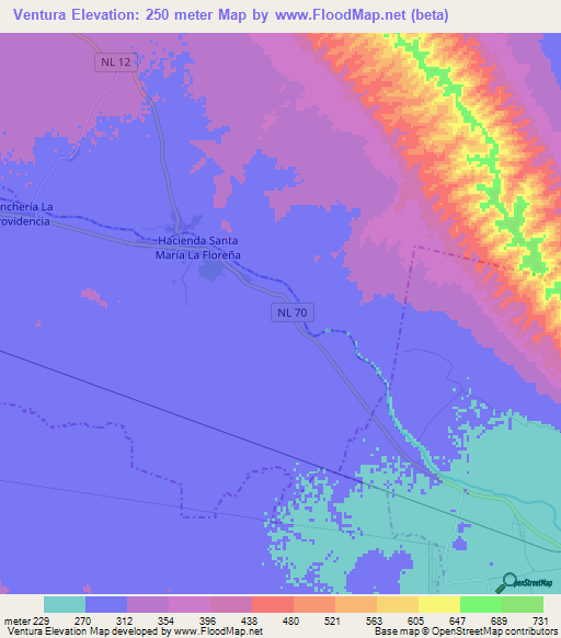 Ventura,Mexico Elevation Map