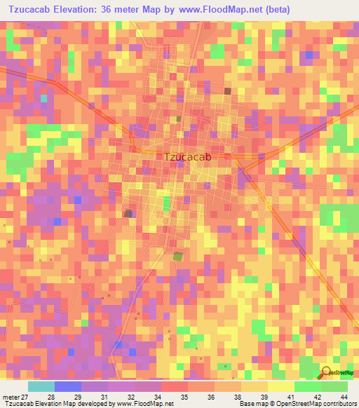 Tzucacab,Mexico Elevation Map