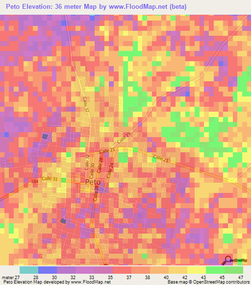 Peto,Mexico Elevation Map