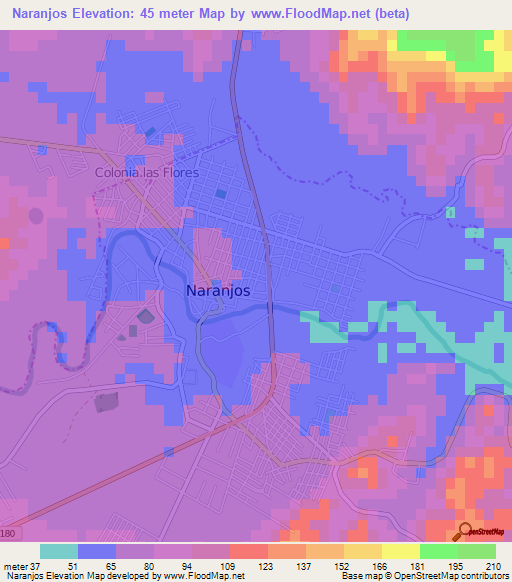 Naranjos,Mexico Elevation Map