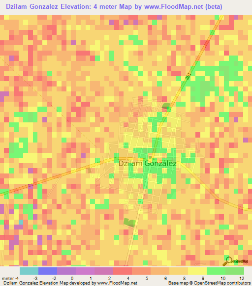 Dzilam Gonzalez,Mexico Elevation Map