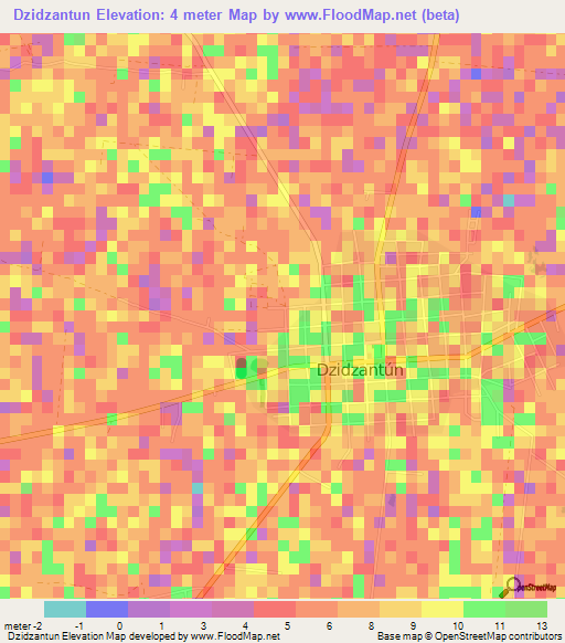 Dzidzantun,Mexico Elevation Map