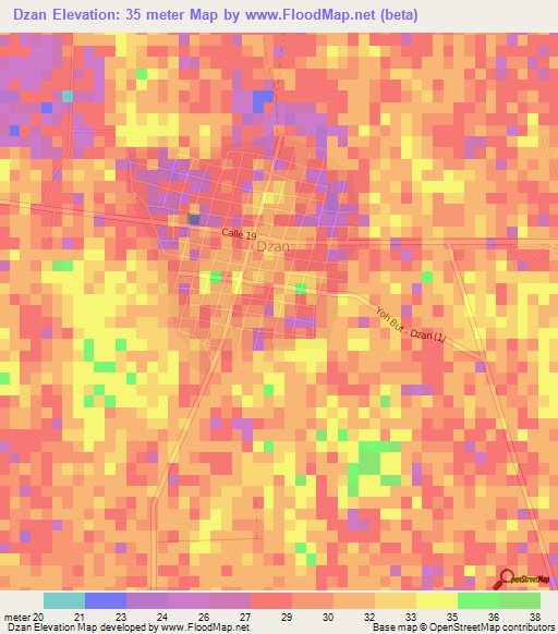 Dzan,Mexico Elevation Map