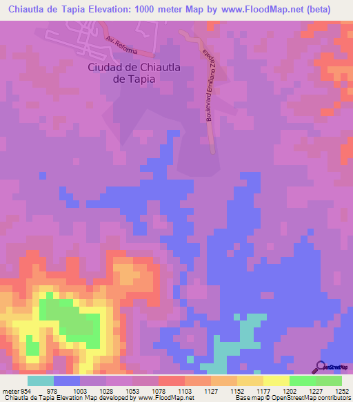 Chiautla de Tapia,Mexico Elevation Map