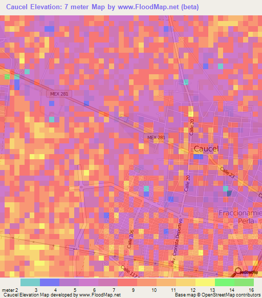 Caucel,Mexico Elevation Map