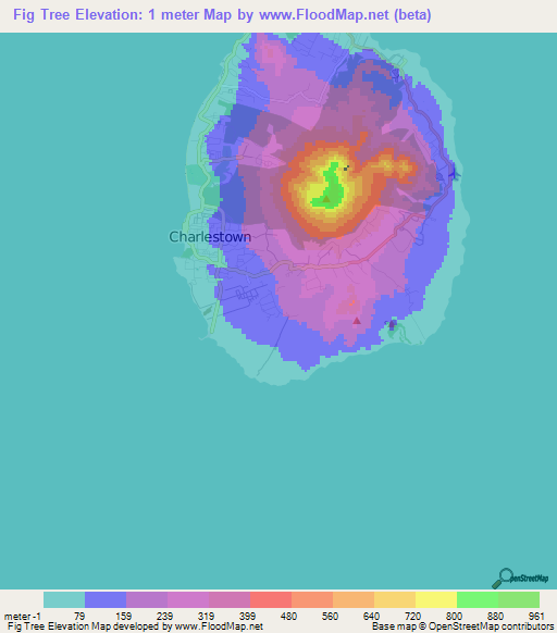 Fig Tree,Saint Kitts and Nevis Elevation Map