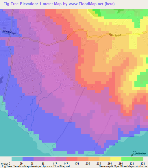 Fig Tree,Saint Kitts and Nevis Elevation Map