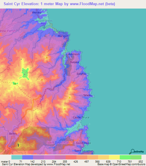 Saint Cyr,Dominica Elevation Map