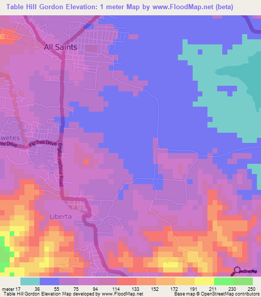 Table Hill Gordon,Antigua and Barbuda Elevation Map