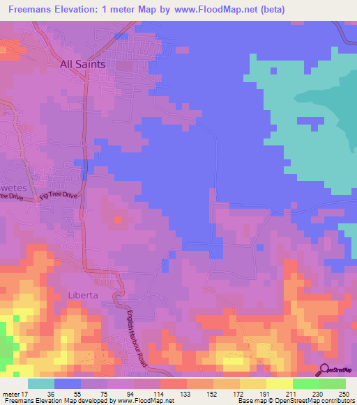 Freemans,Antigua and Barbuda Elevation Map