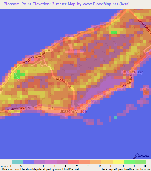 Blossom Point,Cayman Islands Elevation Map