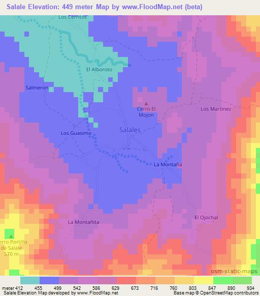 Salale,Nicaragua Elevation Map