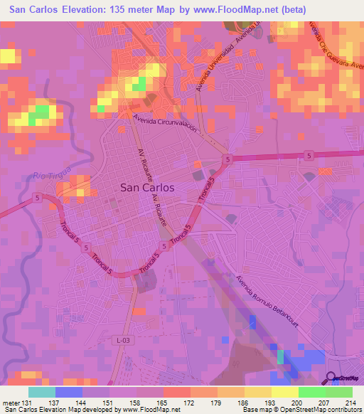 San Carlos,Venezuela Elevation Map