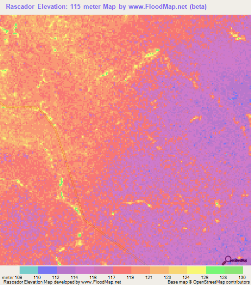 Rascador,Colombia Elevation Map