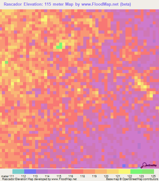 Rascador,Colombia Elevation Map