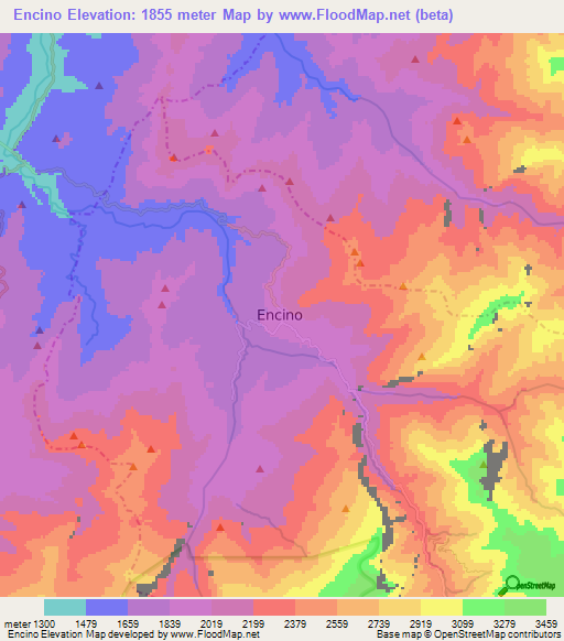 Encino,Colombia Elevation Map