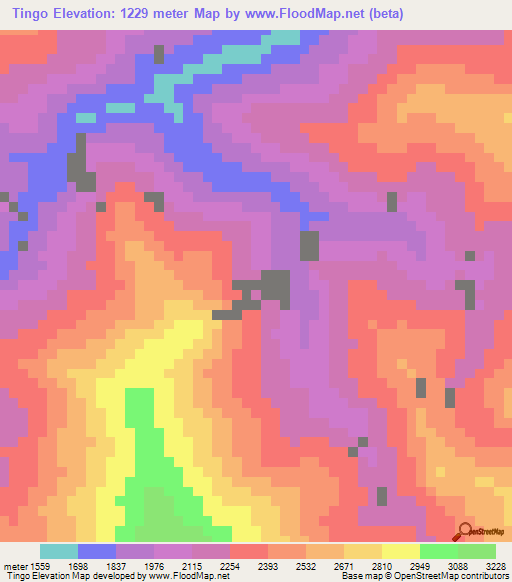 Tingo,Peru Elevation Map