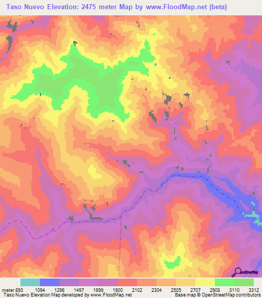 Taso Nuevo,Peru Elevation Map