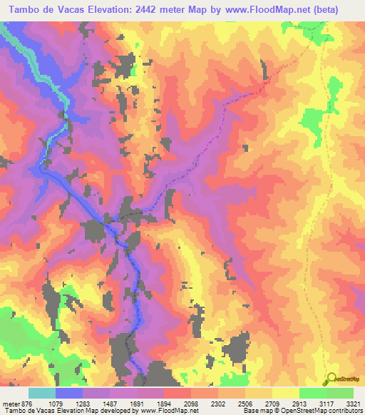 Tambo de Vacas,Peru Elevation Map