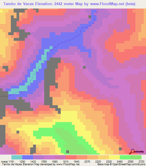 Tambo de Vacas,Peru Elevation Map