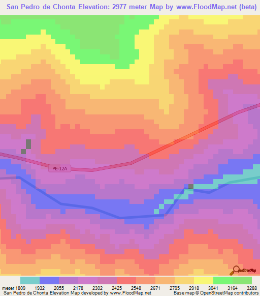 San Pedro de Chonta,Peru Elevation Map