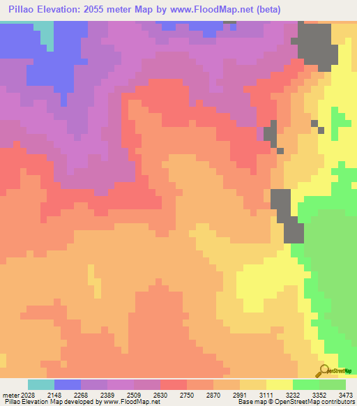 Pillao,Peru Elevation Map