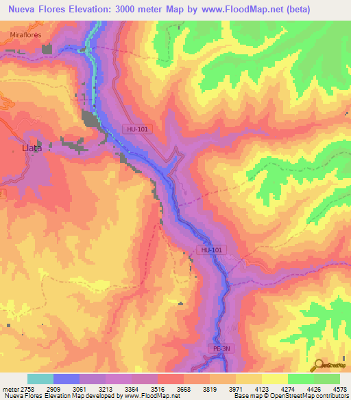 Nueva Flores,Peru Elevation Map