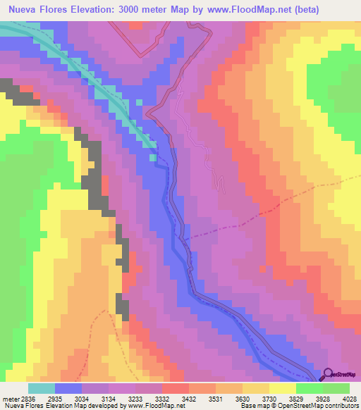 Nueva Flores,Peru Elevation Map