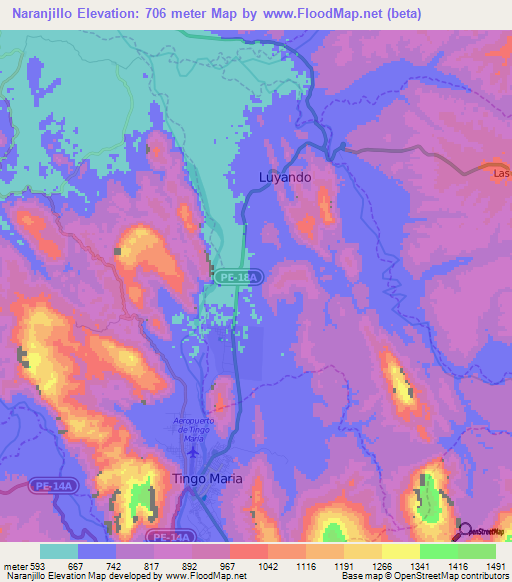 Naranjillo,Peru Elevation Map