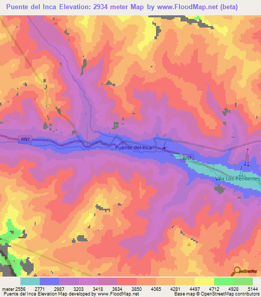 Puente del Inca,Argentina Elevation Map