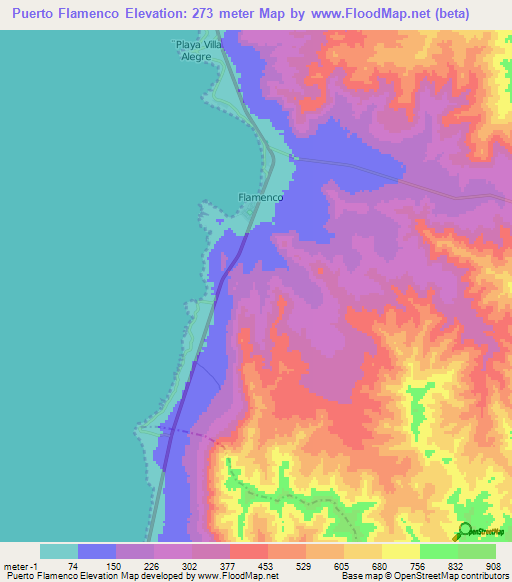 Puerto Flamenco,Chile Elevation Map