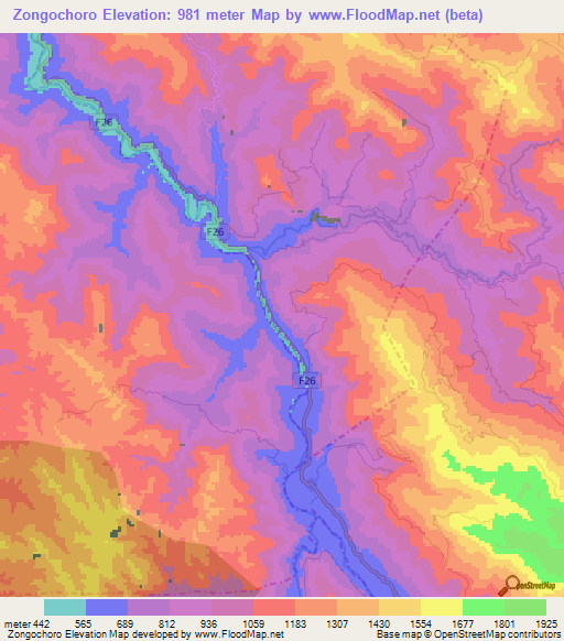 Zongochoro,Bolivia Elevation Map