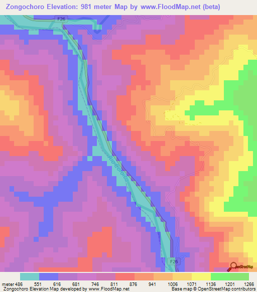 Zongochoro,Bolivia Elevation Map