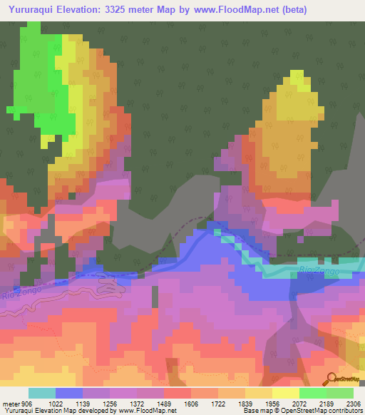 Yururaqui,Bolivia Elevation Map