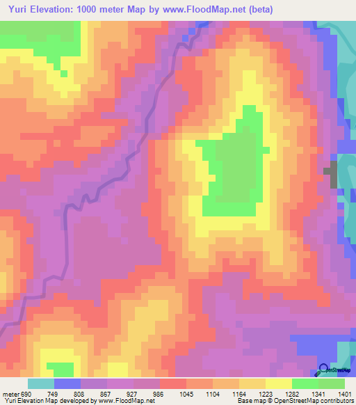 Yuri,Bolivia Elevation Map