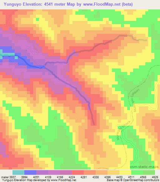 Yunguyo,Bolivia Elevation Map