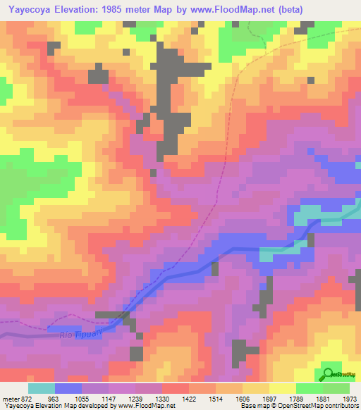 Yayecoya,Bolivia Elevation Map