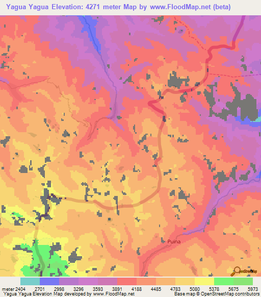 Yagua Yagua,Bolivia Elevation Map