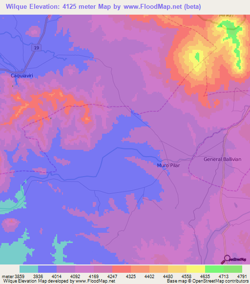Wilque,Bolivia Elevation Map