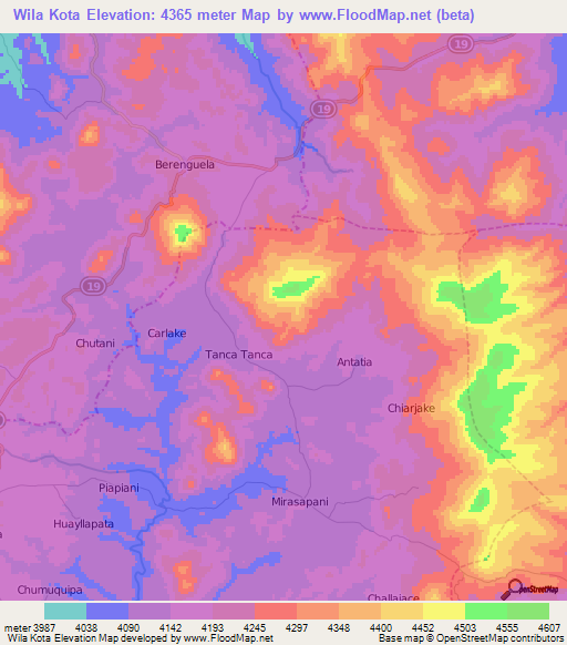 Wila Kota,Bolivia Elevation Map