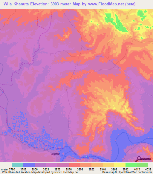 Wila Khanuta,Bolivia Elevation Map