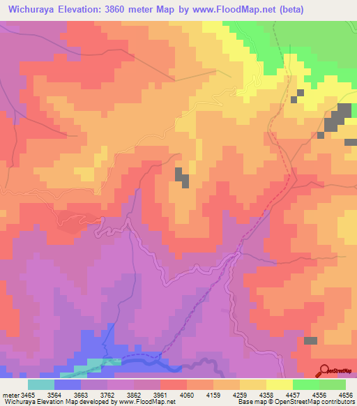 Wichuraya,Bolivia Elevation Map