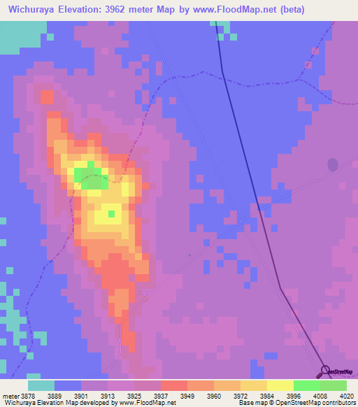 Wichuraya,Bolivia Elevation Map