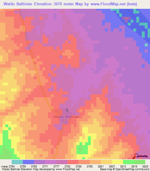 Waldo Ballivian,Bolivia Elevation Map