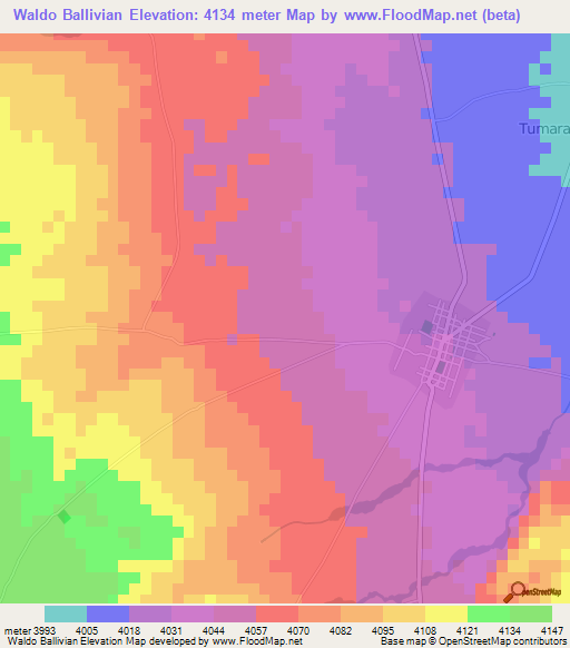 Waldo Ballivian,Bolivia Elevation Map