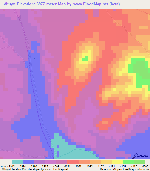 Vituyo,Bolivia Elevation Map