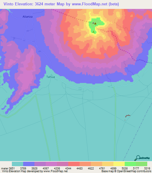 Vinto,Bolivia Elevation Map